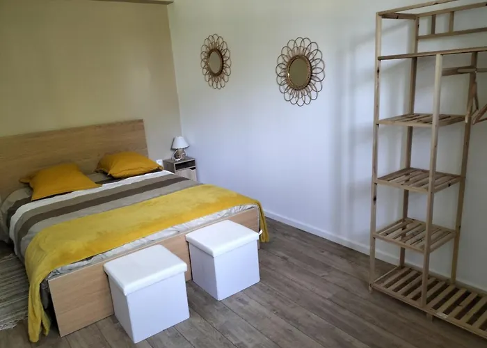 Au Grand Chene Jolie T3 A 5 Min D\'Albi